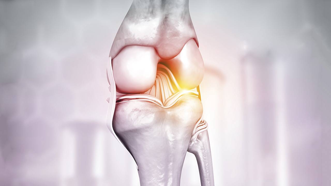 Anterior Cruciate Ligament Injury Ciudadela Physiotherapy Clinic